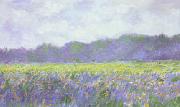 Field of Yellow Iris at Giverny Claude Monet